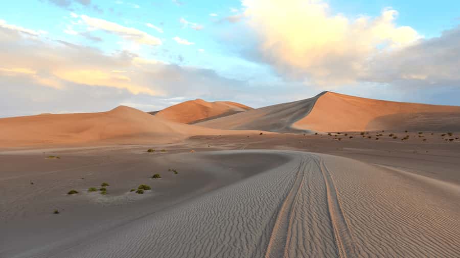 Doha: Sunset Safari, Dune Bashing, Sandboarding & Camel Ride - Two hours of dune bashing and sandboarding
