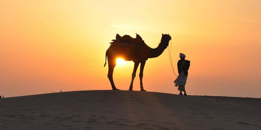 Doha: Thrilling 4x4 Desert Safari, Inland Sea-All Activities - What the $15 price really offers