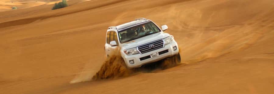 Doha: Thrilling 4x4 Desert Safari, Inland Sea-All Activities - The camel stop: a short look at desert tradition