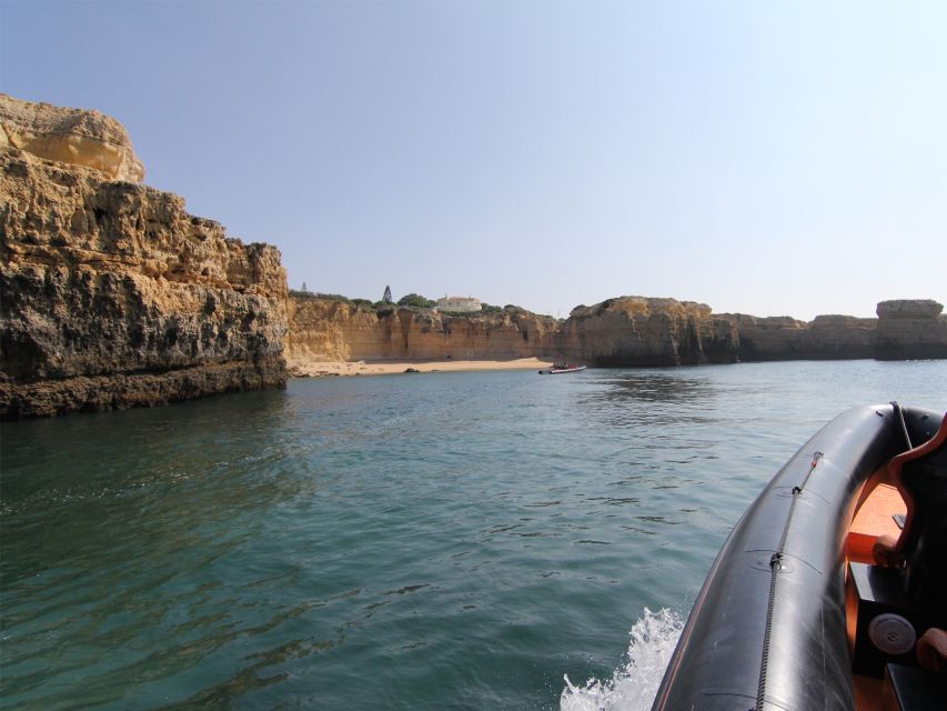 Dolphin Safari and Cave Tour in Vilamoura - Caves and rock formations along the Algarve coast