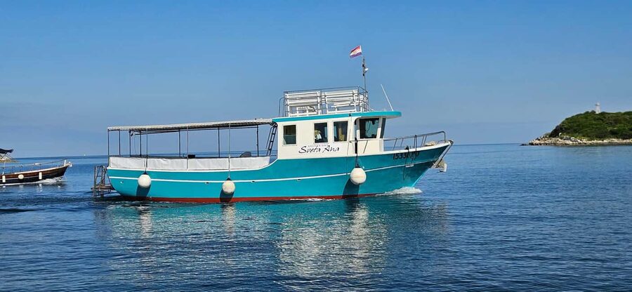 Dolphin Safari Boat Trip from Marina Funtana - Dolphin watching in open water