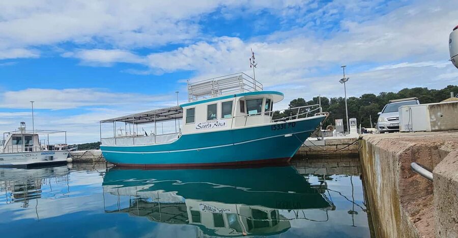 Dolphin Safari Boat Trip from Marina Funtana - Is $35 a fair price?