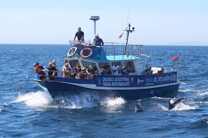 Dolphin Watching in Gibraltar Dolphin Safari V.I.P - How the One-Hour Itinerary Feels
