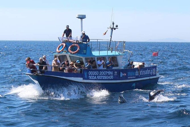 Dolphin Watching in Gibraltar Dolphin Safari V.I.P - Weather, Cancellations, and Practical Timing