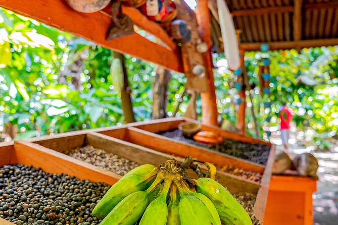 Dominican Republic Countryside Safari Tour from Punta Cana - Macao Beach: pretty, busy, and not always for swimming