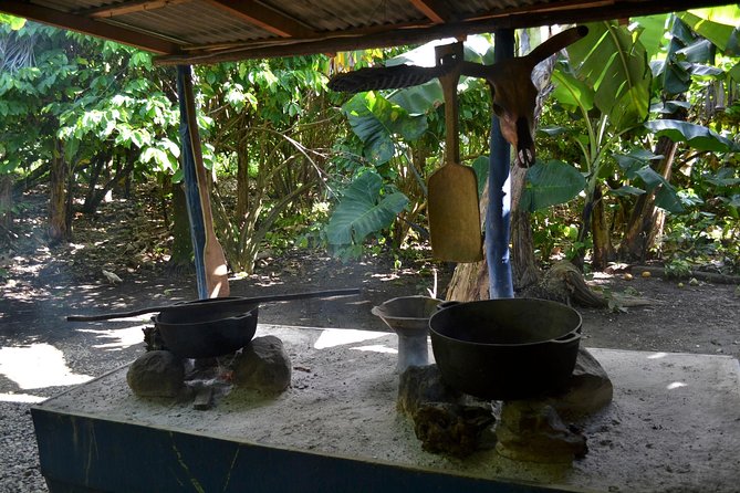 Dominican Republic Countryside Safari Tour from Punta Cana - Sugar cane, tobacco, and the business of local products