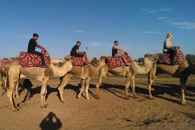 Dromedary Safari: 2 hours - A two-hour camel ride with a clear sense of place