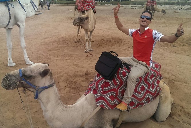 Dromedary Safari: 2 hours - Starting out in Souss Massa National Park