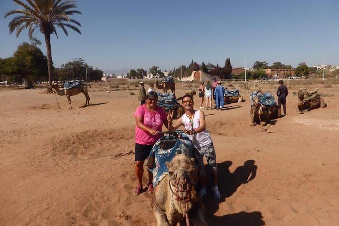 Dromedary Safari: 2 hours - Reaching the flamingo river