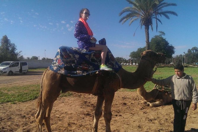 Dromedary Safari: 2 hours - Transport, timing, and group size
