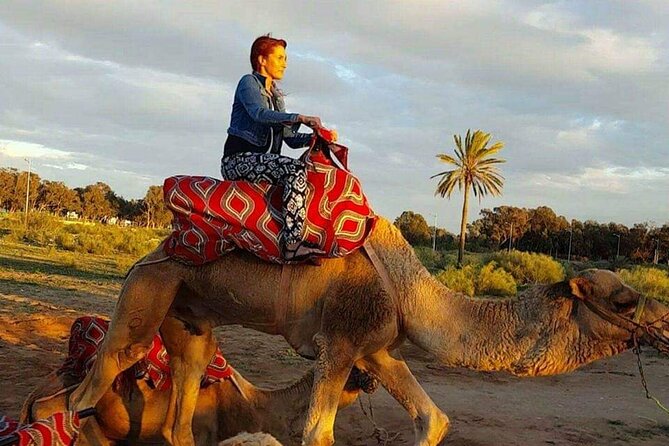 Dromedary Safari: 2 hours - What the $33.14 price includes