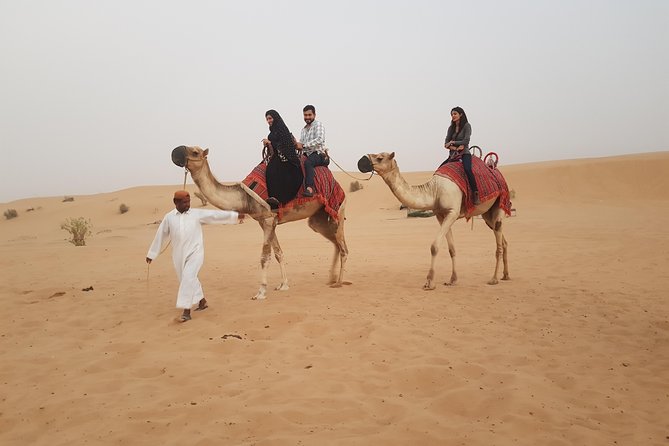 Dubai 4x4 Desert Safari, Quad Bike, Camel Ride & BBQ Dinner - Who will enjoy this safari most?