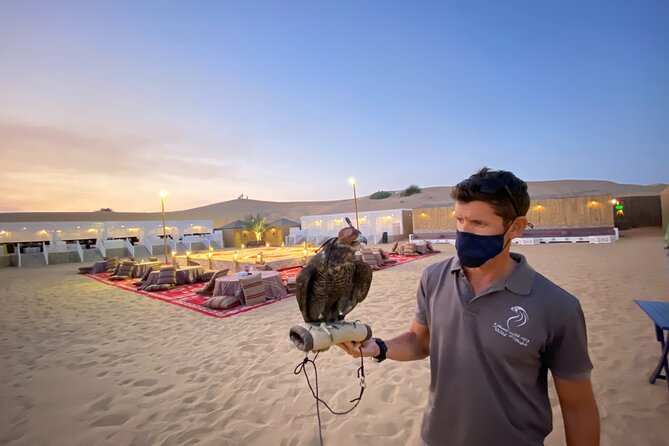 Dubai Afternoon Desert Safari and BBQ Dinner - How much value do you get for $80?