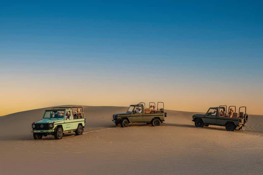 Dubai: Al Marmoom Oasis Safari, Animal Spotting & Breakfast - Arabic Coffee, Dates, and a Bedouin Welcome