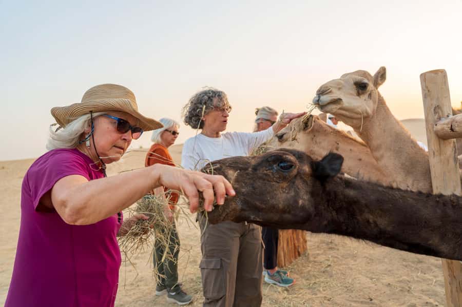 Dubai: Al Marmoom Oasis Safari, Animal Spotting & Breakfast - A Hearty Emirati Breakfast in the Oasis