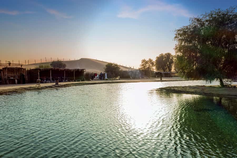 Dubai: Al Marmoom Oasis Safari, Animal Spotting & Breakfast - Practical Tips Before You Go