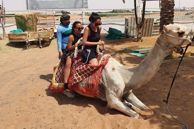 Dubai: All Inclusive Desert Safari with ATV, Camel, Horse ride, Vip & more - Is $164.50 a fair price?