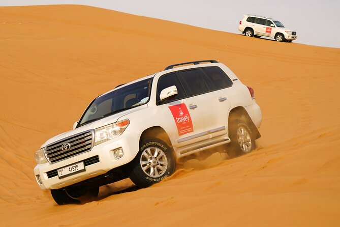 Dubai Buggy Tour in red sands and Desert Safari - Is $250 per person fair value?