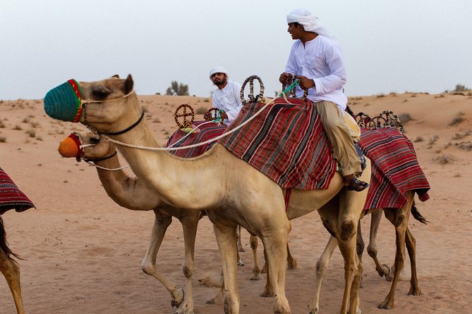 Dubai Camel Desert Safari, Traditional Meal & Heritage Activities - What to expect from the four-course dinner