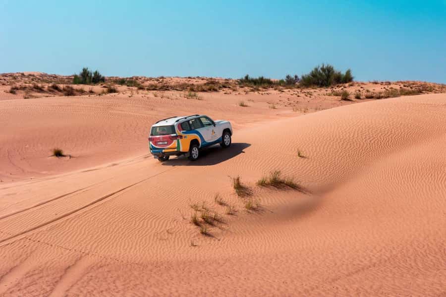 Dubai: Camel Safari, Wildlife & Lakeside Breakfast - A four-hour morning away from Dubai’s towers