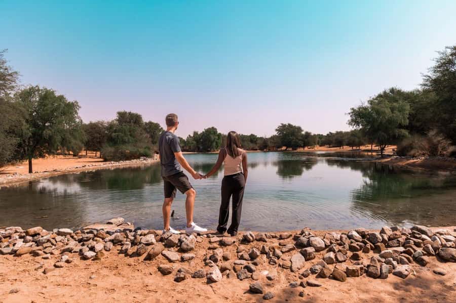 Dubai: Camel Safari, Wildlife & Lakeside Breakfast - Meeting the dromedary camels