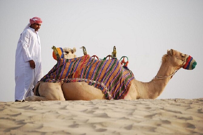 Dubai City Tour and Evening Desert Safari Combo - Dune bashing and sandboarding