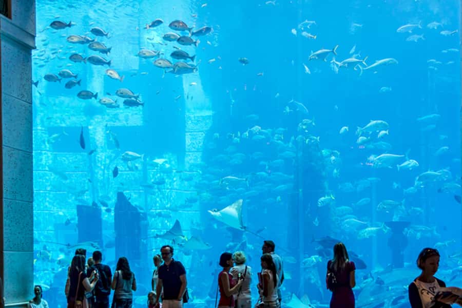 Dubai Combo: Morning City Tour & Evening Desert Safari - City Highlights: From Jumeirah Beach to Downtown