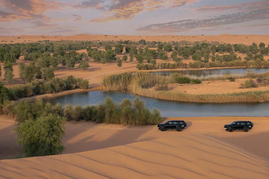 Dubai: Conservation Drive & Platinum Breakfast - Key points to know before booking