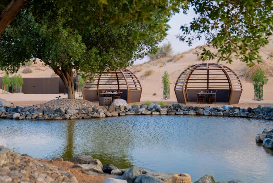 Dubai: Conservation Drive & Platinum Breakfast - What the $189 price really buys