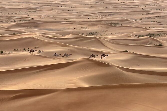 Dubai Desert Safari, Camel, Live BBQ & Shows (Private 4x4 Car) - What you should know before booking