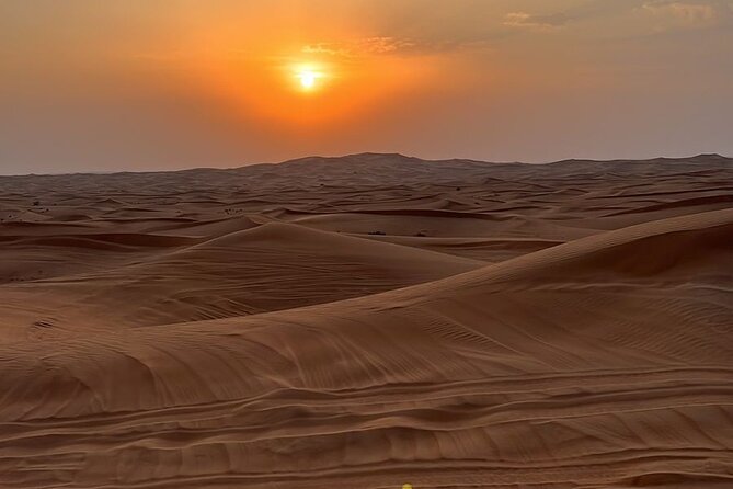 Dubai Desert Safari, Camel, Live BBQ & Shows (Private 4x4 Car) - Guides, driving, and the personal touch