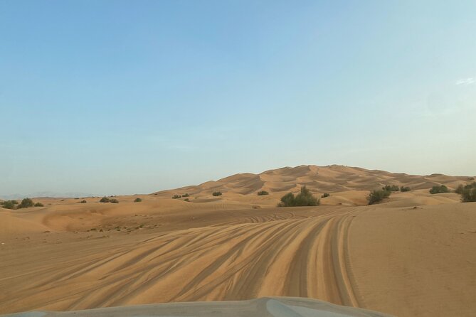 Dubai Desert Safari, Camel, Live BBQ & Shows (Private 4x4 Car) - Who will enjoy this Dubai safari most?