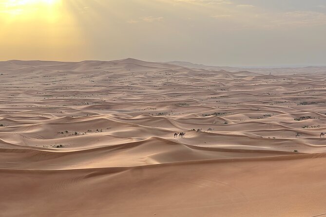 Dubai Desert Safari, Camel, Live BBQ & Shows (Private 4x4 Car) - The Al Aweer camp: camel ride, henna, and dinner