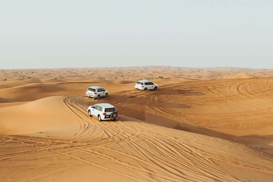 Dubai: Desert Safari, Camel Ride, and BBQ Dinner - Key points at a glance