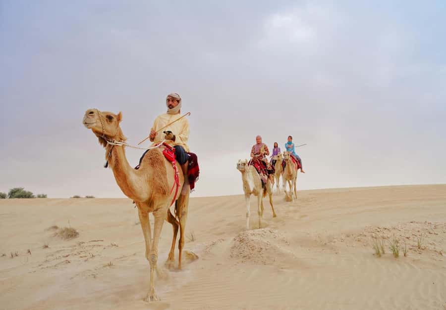 Dubai: Desert Safari, Camel Ride, Sandboard & Buffet Dinner - What You Get for $28 in Dubai
