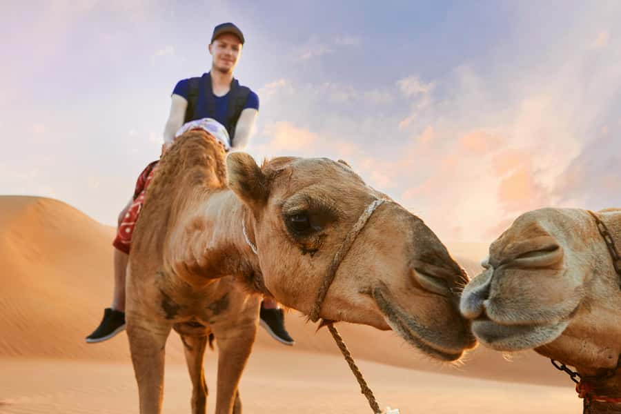 Dubai Desert Safari - Camel Ride, Sandboarding & 30 Min Quad - Morning or afternoon: choose based on comfort