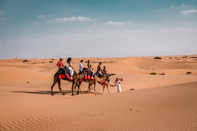 Dubai Desert Safari: Camel Ride, Sandboarding, BBQ & House Drinks - Who Will Enjoy This Safari Most?