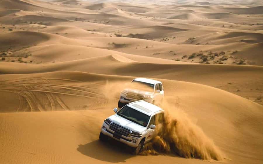 Dubai: Desert Safari, Camel Ride, Sandboarding, Quad Bike - A camel ride measured in minutes