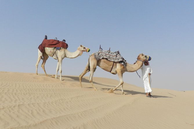 Dubai Desert Safari Dune Bashing, 60min ATV Quad, Camel Ride, BBQ - What the $56.05 price really buys
