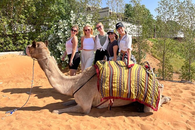 Dubai Desert Safari: Dune Bashing, Camel Ride & BBQ Dinner - The short camel ride at camp