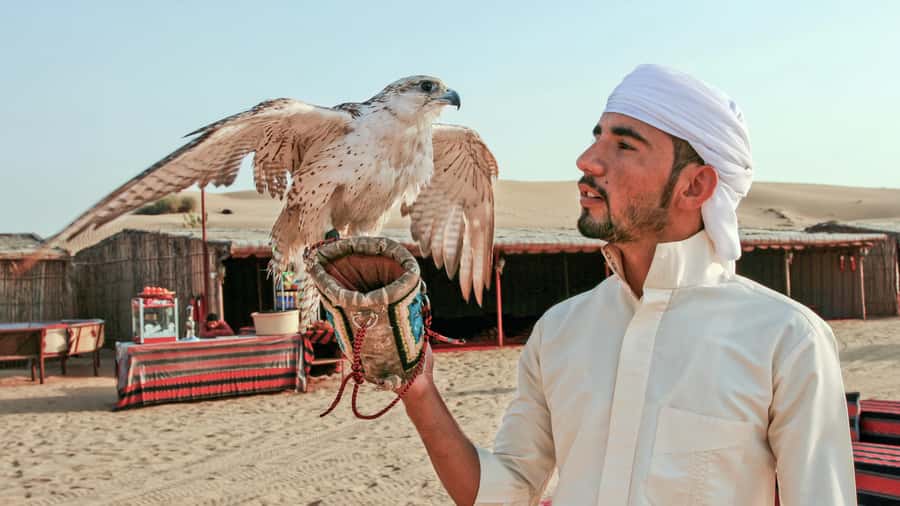 Dubai Desert Safari - Premium BBQ Dinner, Camel Ride & Shows - Forty-five minutes of dune bashing in Lahbab