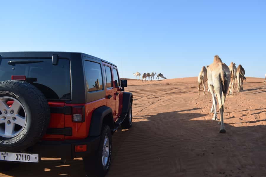 Dubai: Desert Safari, Quad Bike, Camel Ride and Sandboarding - Dune bashing in a 4WD Land Cruiser