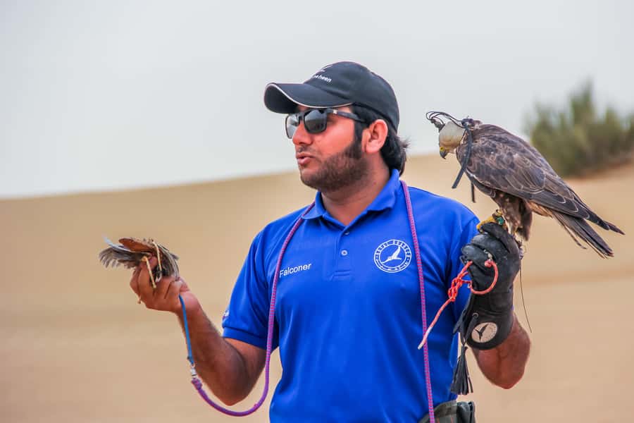 Dubai Desert Safari, Quad Biking, Camel Ride, & Sandboarding - The camel farm gives the day some context
