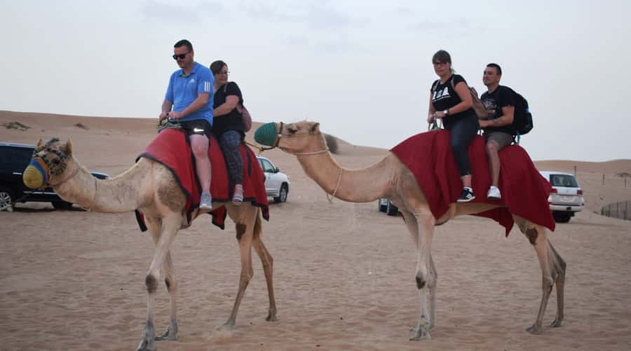 Dubai Desert Safari, Quad Biking, Camel Ride, & Sandboarding - Who will enjoy this safari most?