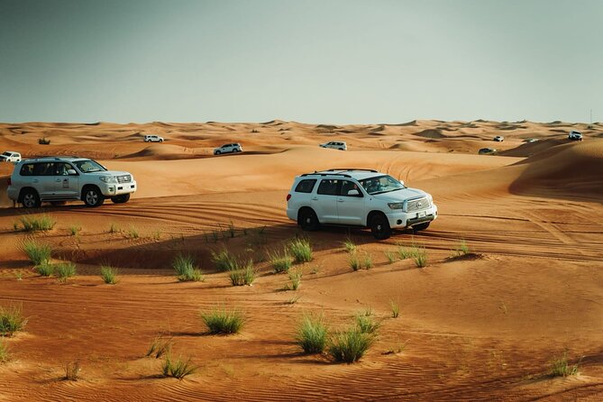 Dubai Desert safari Tour with Live BBQ & Belly Dance Shows - Lahbab: 90 minutes of dunes and desert action