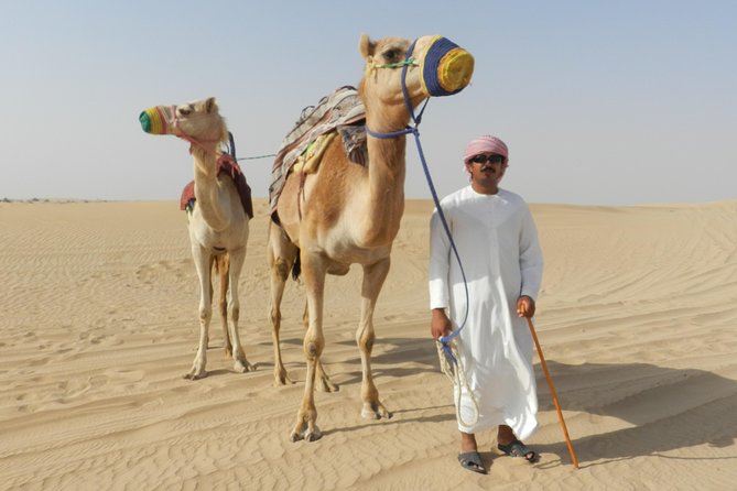 Dubai Desert Safari with BBQ, 3 Shows & Camel Ride at Majlis Camp - Three shows: belly dance, tanoura, and fire
