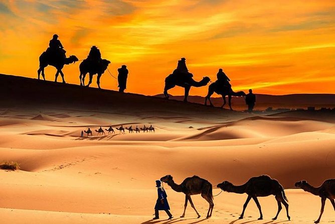 Dubai Desert Safari with BBQ, 3 Shows & Camel Ride at Majlis Camp - Sunset, camel riding, and the first taste of camp life