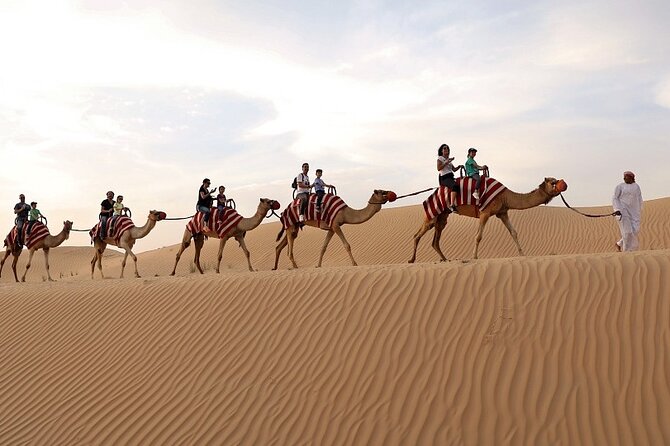 Dubai: Desert Safari with BBQ Dinner - The red dunes and the Land Cruiser ride