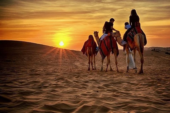Dubai Desert Safari With BBQ, Quad Bike And Camel Ride - Shows, henna, falcon photos, and shisha