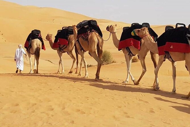 Dubai Desert Safari With Dune Bashing, Camel Ride & BBQ Dinner - The $39 price: strong value with a few catches